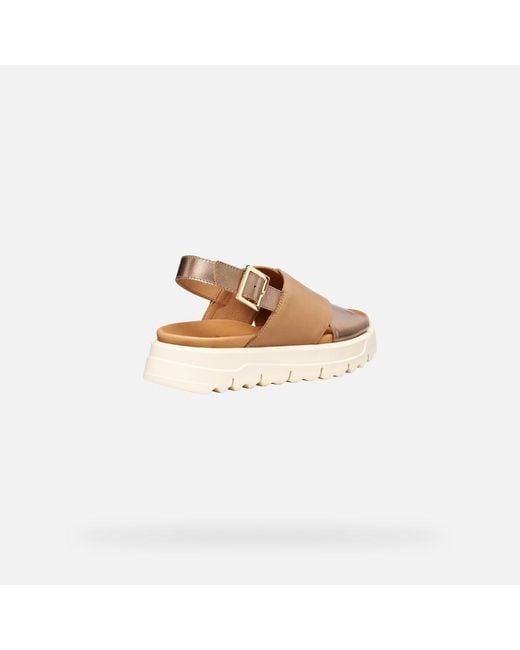 Geox Multicolor Xand 2.1S