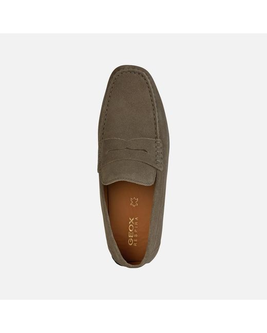 Geox Gray Kosmopolis + Grip for men