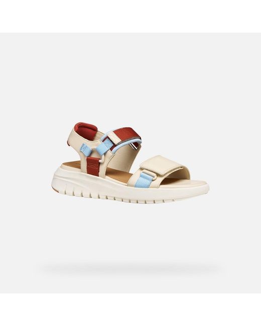 Geox Multicolor Flextride S