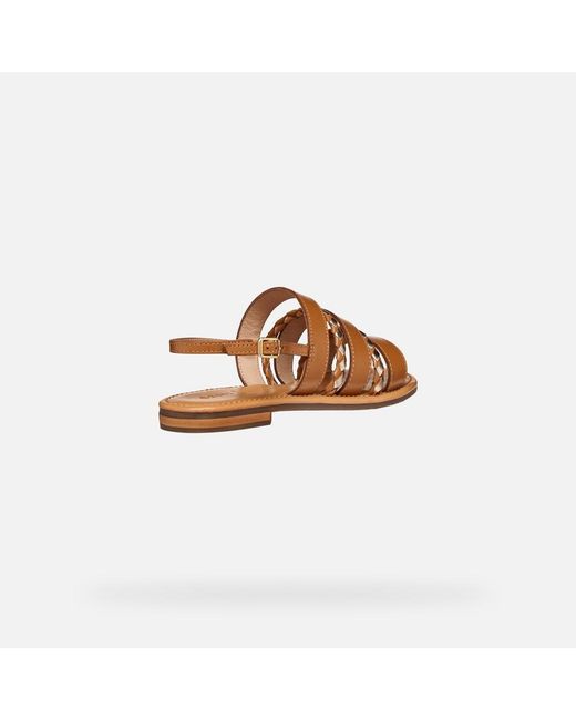 Geox Brown Sozy S