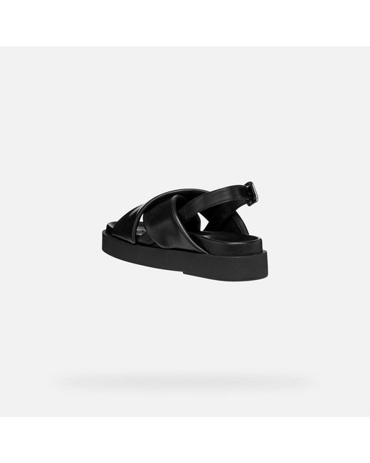 Geox Black Adelash H