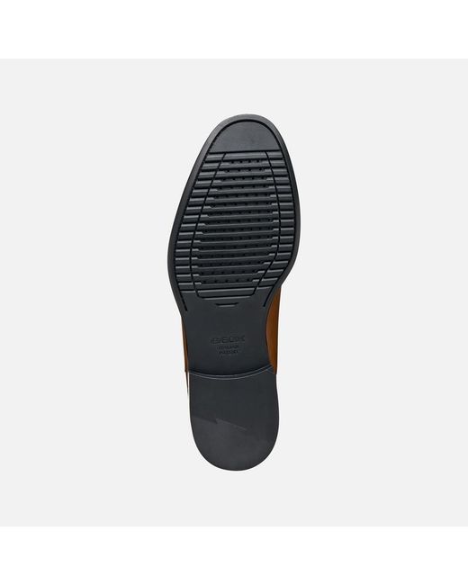 Geox Brown Barberigo for men