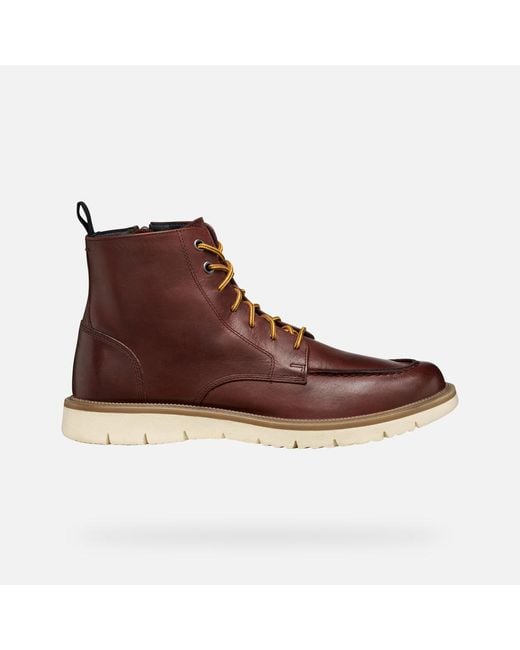 Geox Brown Pove for men