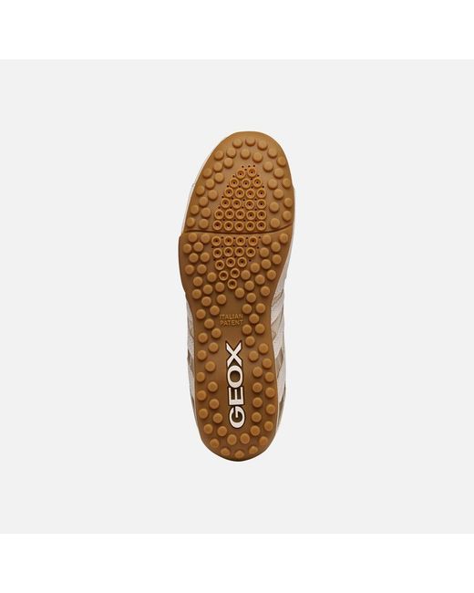 Geox White Snake Original