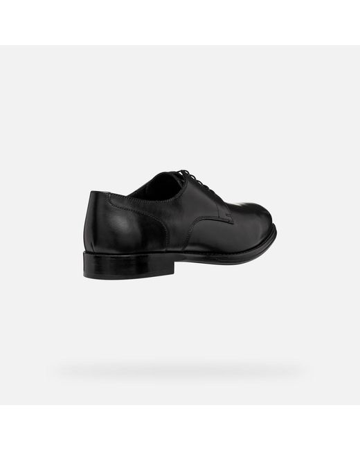 Geox Black Barberigo for men