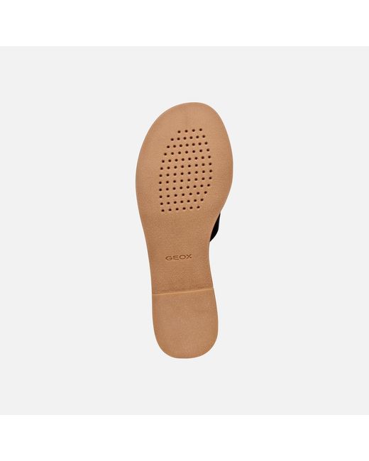 Geox Brown Maddalusia C