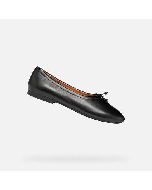 Geox Black New Palmaria
