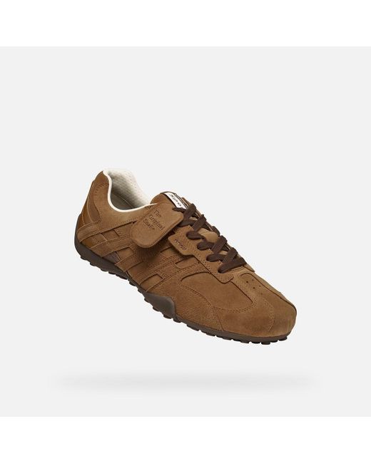 Geox Brown Snake for men