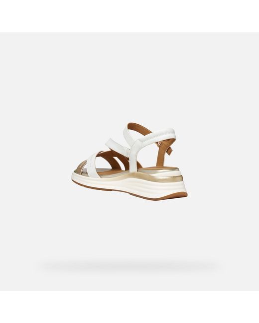 Geox Metallic Elowynne