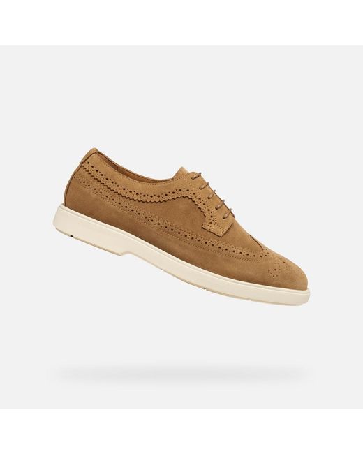 Geox Brown Spherica Ec17 for men