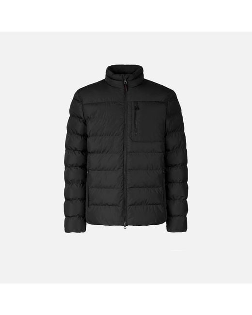 Vêtements Snake 2.0 Homme Geox pour homme en coloris Black