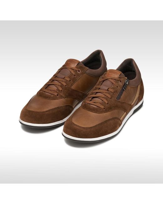 Geox Brown Renan for men