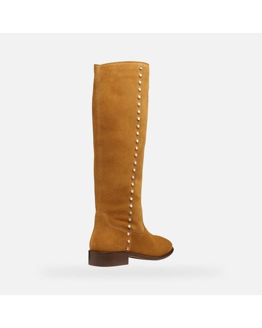Geox Brown Eliebeth