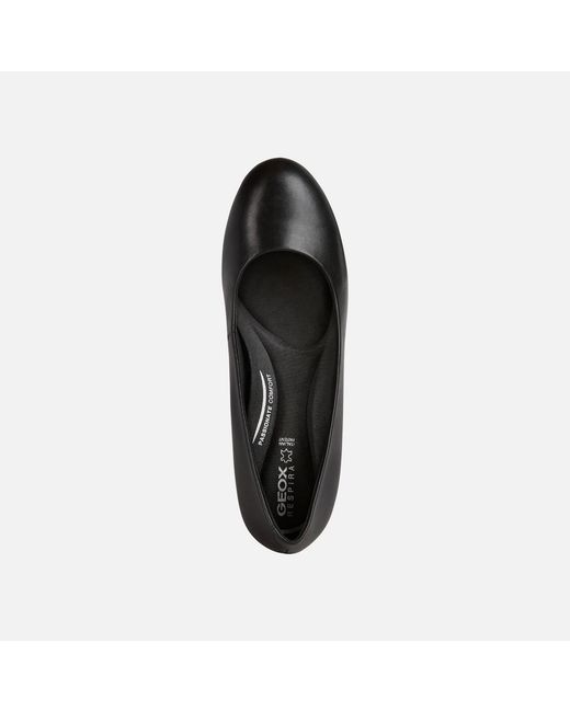 Geox Black Eleana