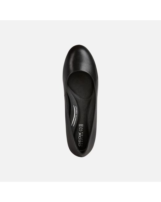 Geox Black Eleana