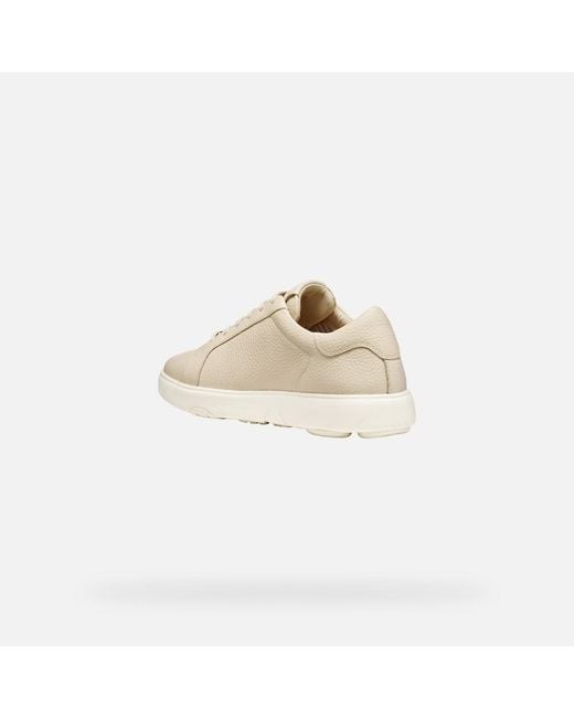 Geox Natural Nebula 2.0 C