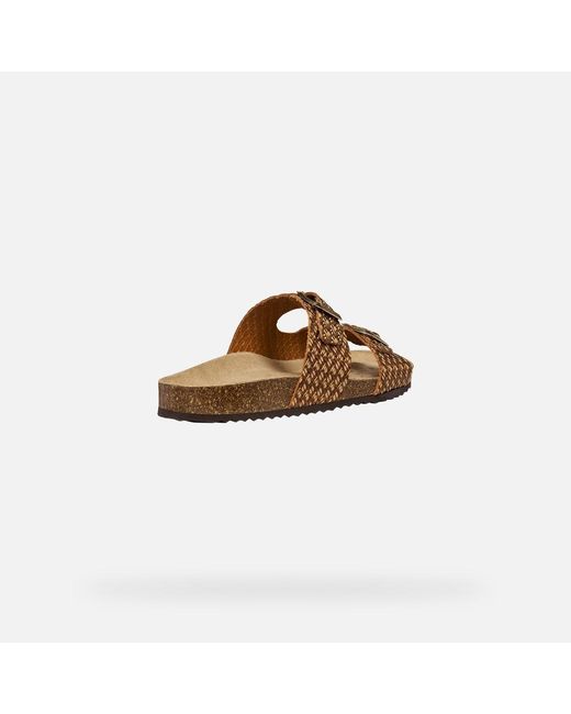 Geox Brown Brionia