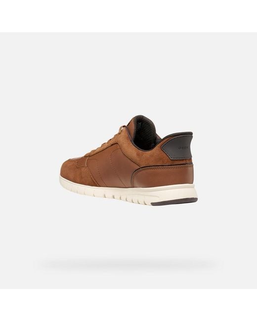 Geox Brown Flextridezero Plus for men