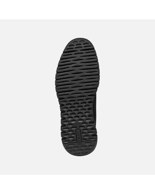 Geox Black Flextride F Plus for men