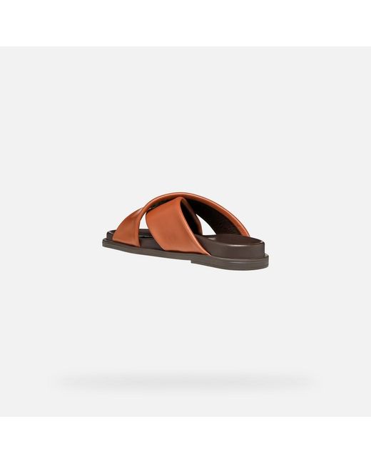 Geox Brown Adelash