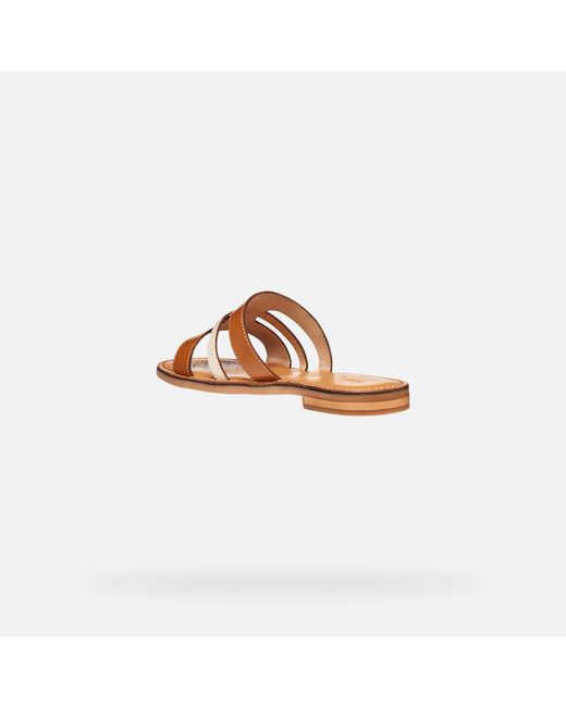 Geox Brown Maddalusia C Camel/Papyrus