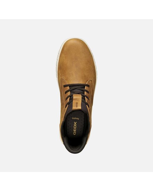 Geox Brown Flextride Plus for men