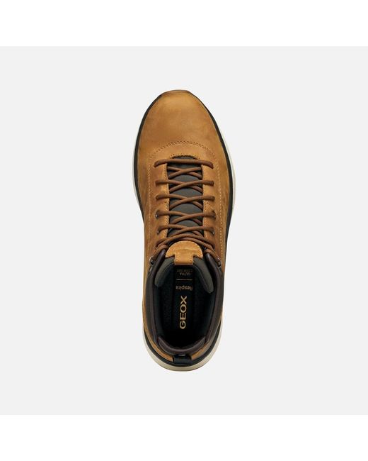 Geox Brown Spherica Actif X2 Abx for men