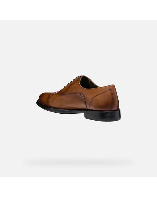 Geox Brown Barberigo for men