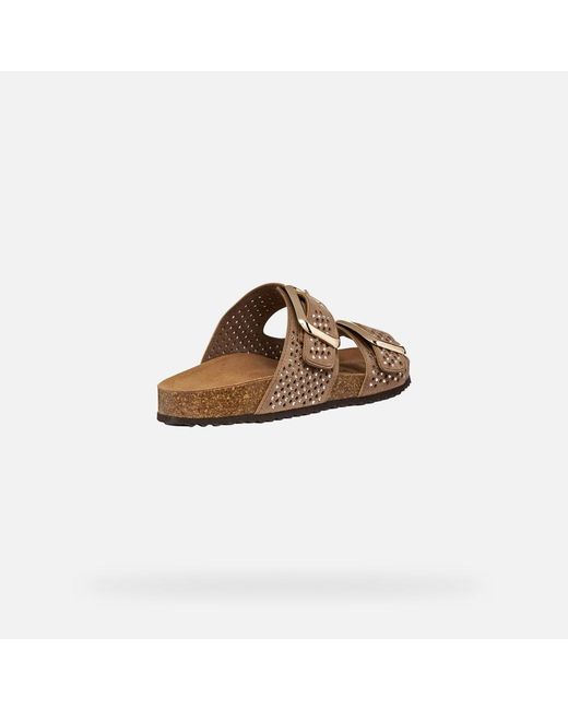 Geox Brown Brionia R