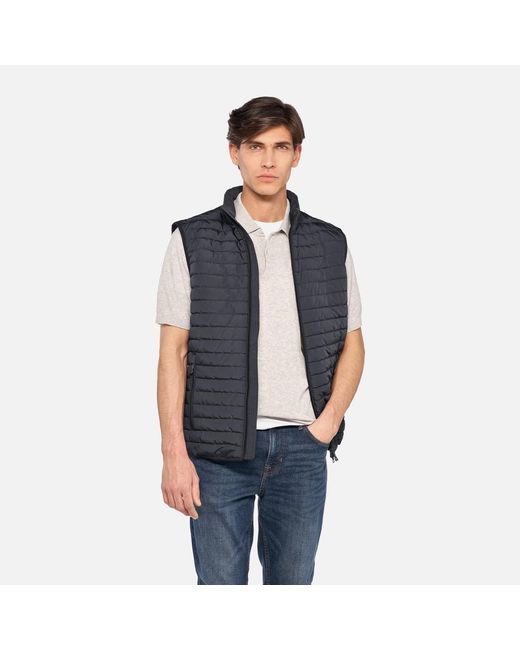 Geox Gray Wilmer for men