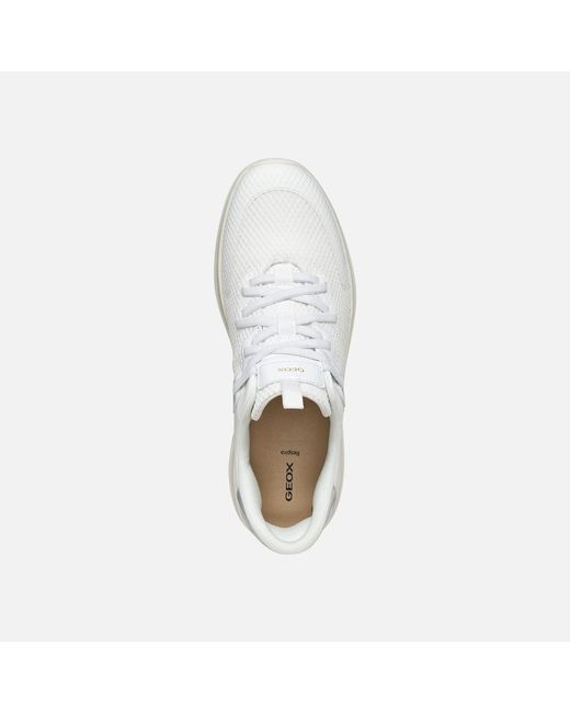 Geox White Plummery Plus
