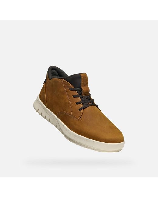 Geox Brown Flextride Plus for men