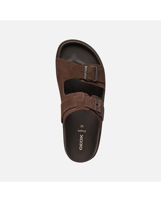 Geox Brown Parnaiba for men