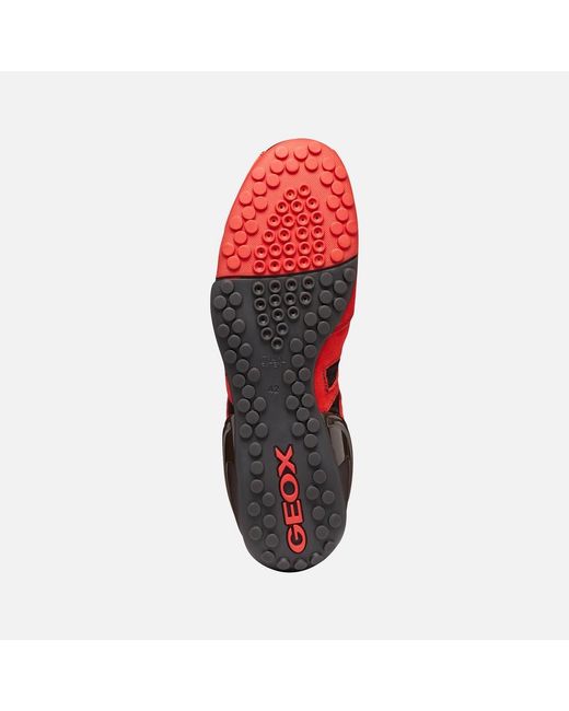 Geox Red Archive Snake for men