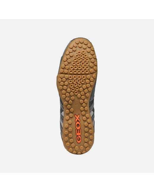 Geox Gray Snake Original for men
