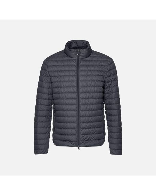 Geox Blue Warrens for men