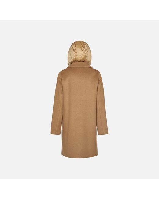 Geox Brown Rawelle