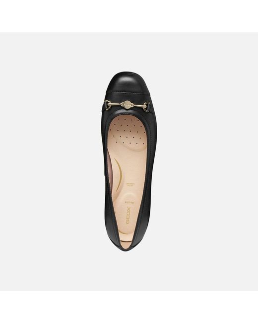 Geox Black Annytah