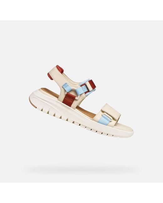Geox Multicolor Flextride S
