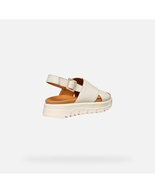 Geox Multicolor Xand 2.1S