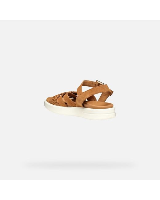 Scarpe Xand 2S Donna di Geox in Brown