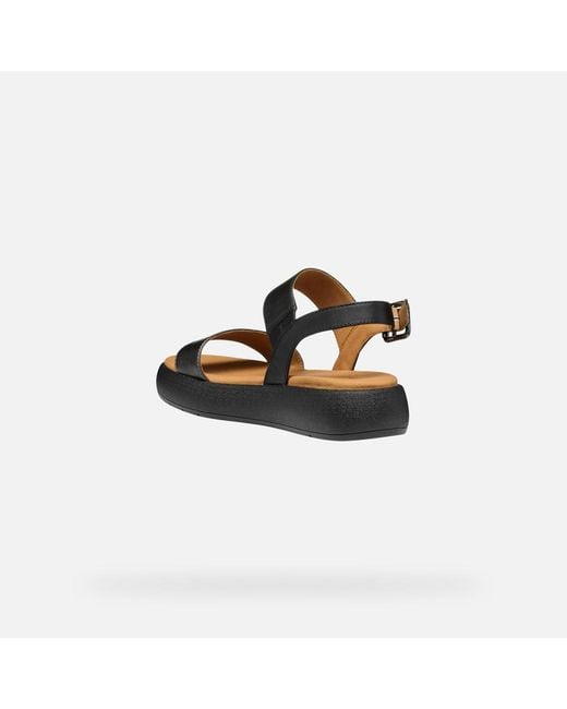Geox Black Camalei