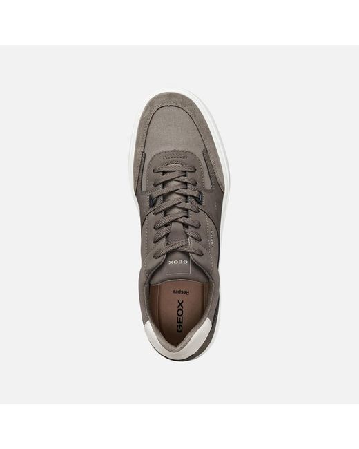 Geox Gray Baltmoore for men