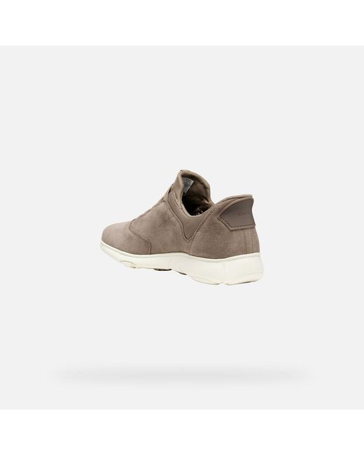 Scarpe Nebula 2.0 Plus Donna di Geox in Gray