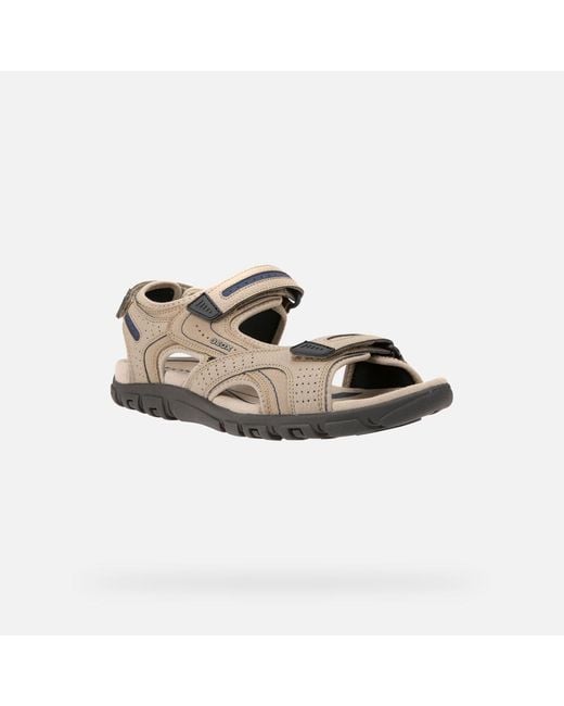Geox Multicolor Strada for men