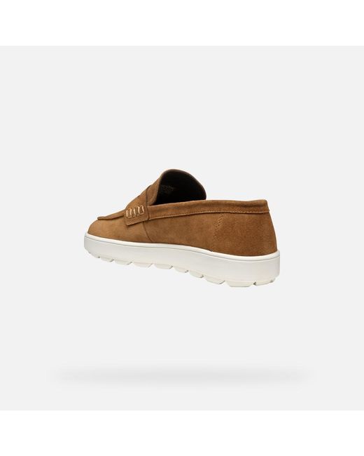 Geox Brown Spherica Ecub-1 for men