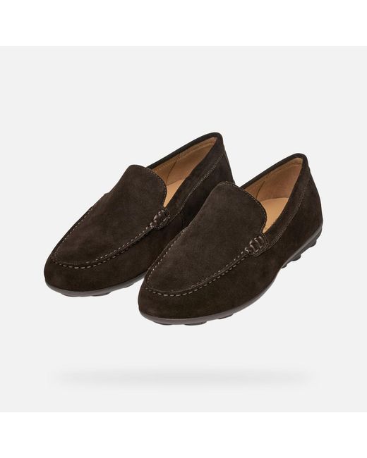 Geox Brown Spherica Ec16 for men