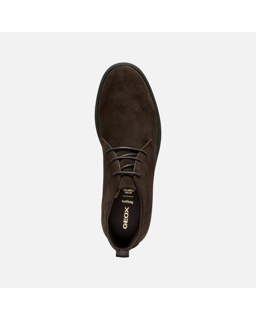 Geox Brown Spherica Ec17 for men