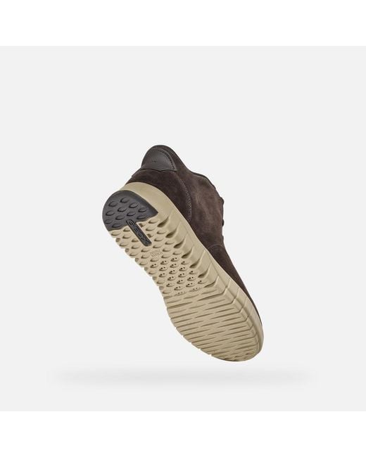 Geox Brown Flextride Plus for men
