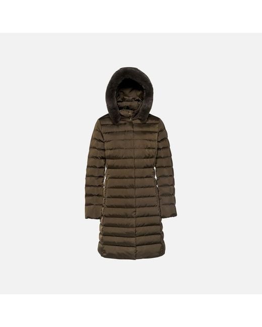 Geox Brown Bettanie